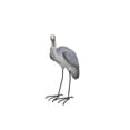 thumbnail image 4 of Hi-Line Gift Ltd. Heron Statue, 4 of 4