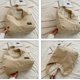 thumbnail image 2 of LHSHIDU Corduroy Shoulder Bag Winter Fall Fashion Crescent Bag Womens Mens Wide Strap Tote Handbag Solid Color, 2 of 6