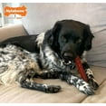 thumbnail image 2 of Nylabone Power Chew Basted Blast Chew Bone Bacon and Steak Flavor Giant [New Dog Supplies, Dog Chew Toys, Nylabone, Dog Supplies] 1 count, 2 of 8