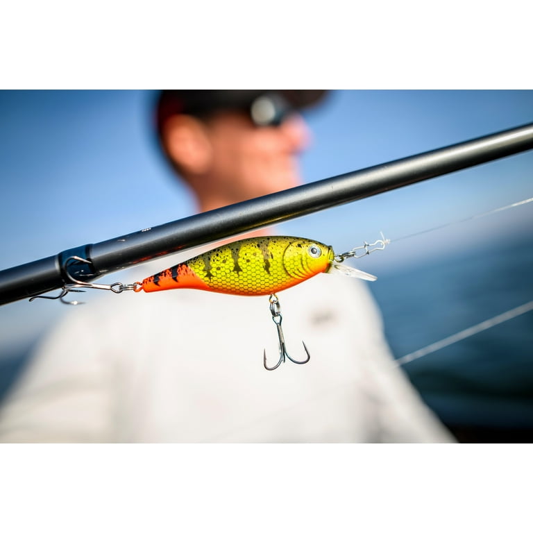Berkley Flicker Shad Shallow Crankbait - HD Blacknose Dace, 2/7 Oz, 2.75" (Dives 3-6 Ft)