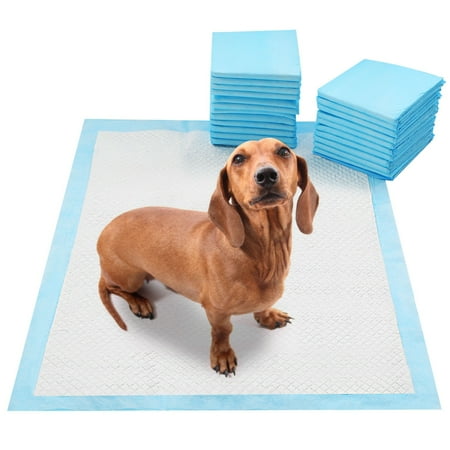 UPC: 0635028903813 | iMountek 50Pcs/Set Dog Training Pads Puppy Pee Pads Cat Wee Mats Potty-Train 24 x18   M