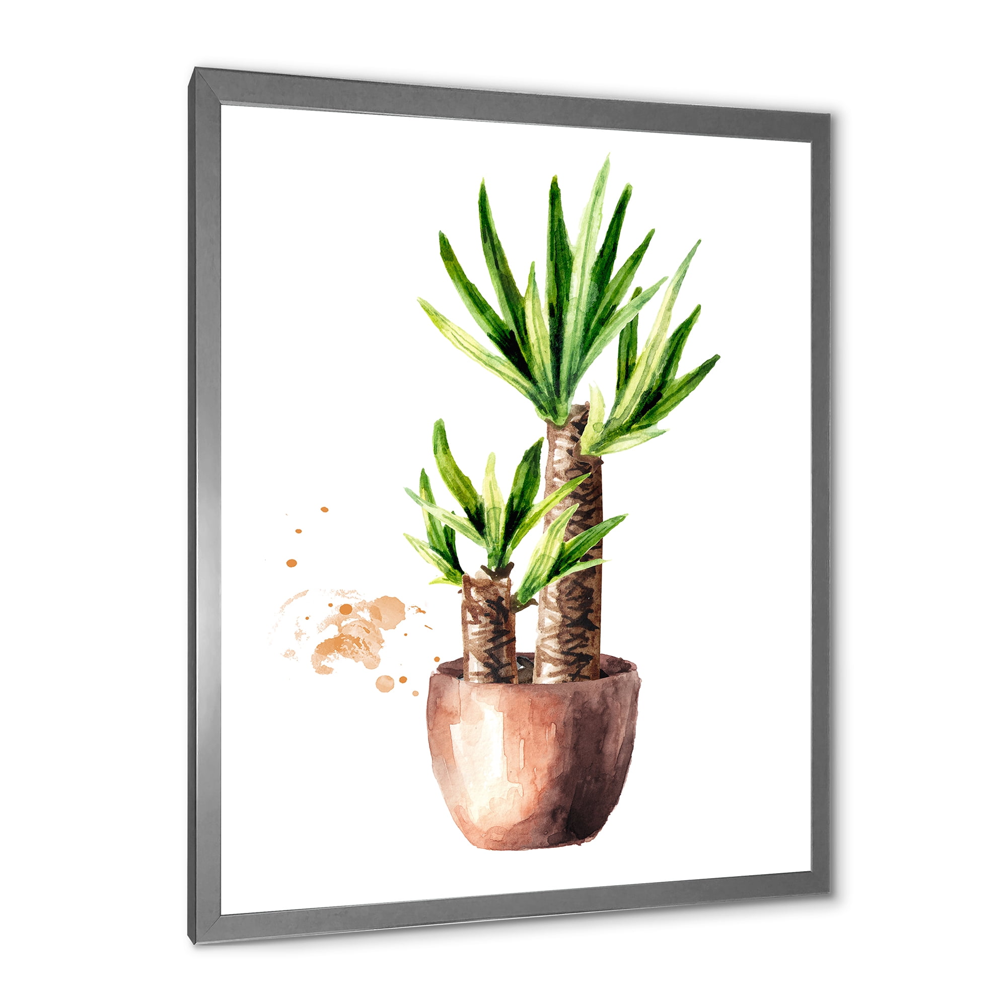 Designart 'Yucca Tree In The Ceramic Flower Pot On White' Traditional Framed Art Print
