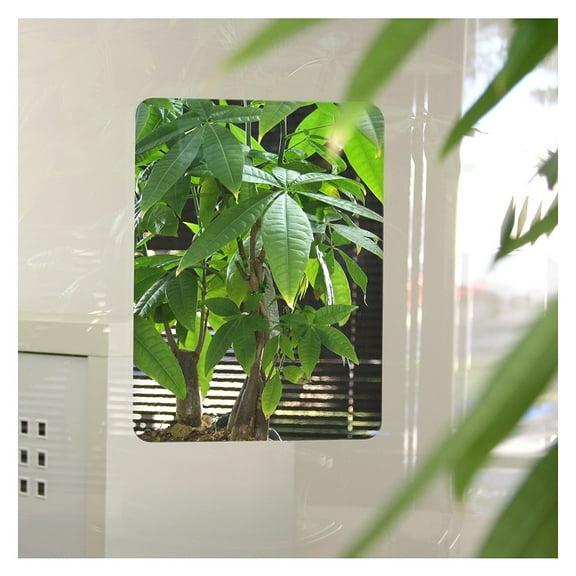 BDF 5MIRF Mirror Window Film 8in X 10.5in (2 Sheets)