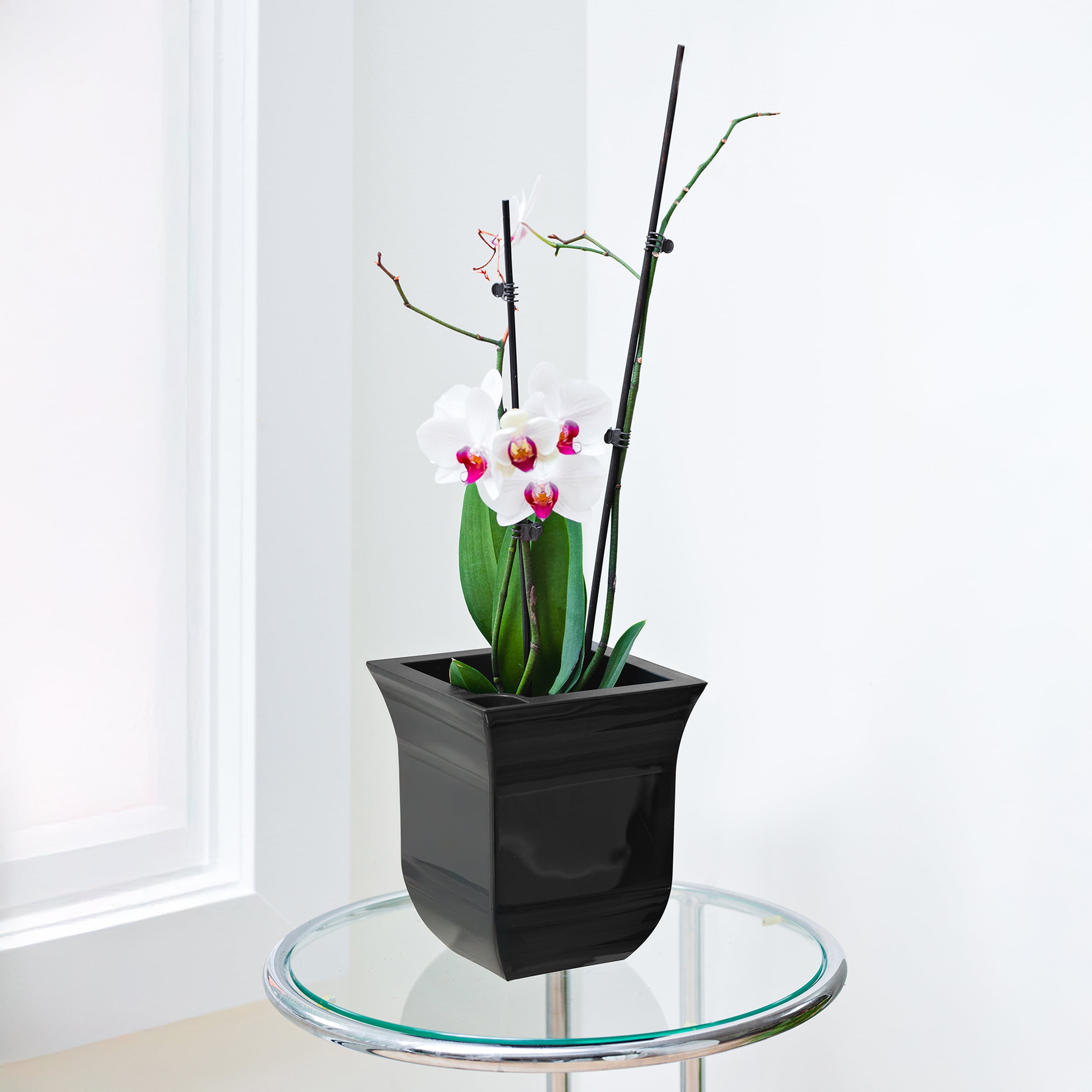 Mayne Valencia 7" x 7" x 8" Square Self Watering Black Plastic Planter