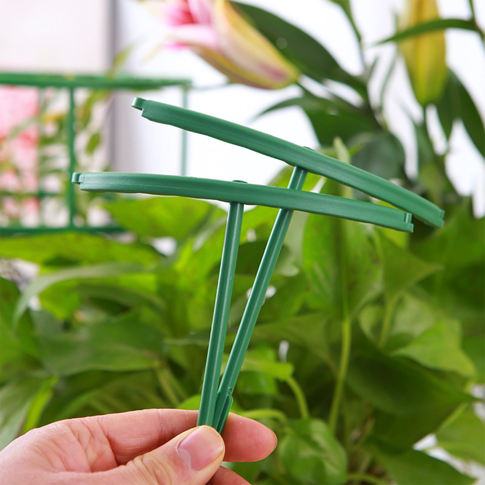Weloille Semi-Circular Steel Core Plant Support Stand White for Climbing Plants Flowers Vegetables Garden Trellis