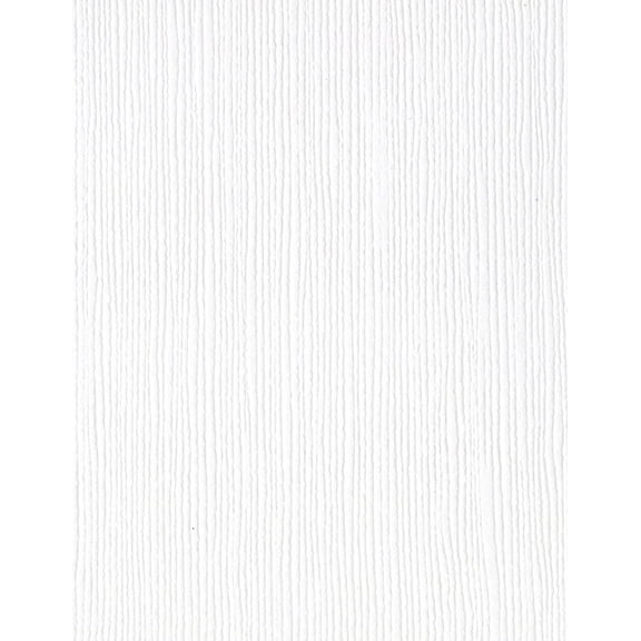 Bazzill Fourz Cardstock 8.5"X11"-Avalanche/Grasscloth