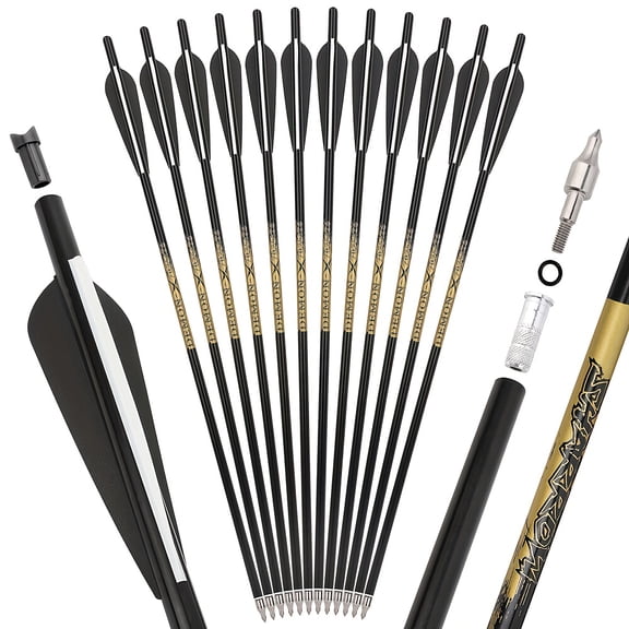 12pcs 20'' 22in Aluminum Arrows Vanes Archery Mini Bow Bolts Screw Broadheads Hunting