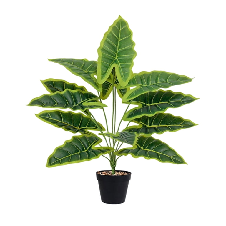 Orangide Artificial Money Tree Potted Plant Large Faux Plant For Garden  Porch Windowsill Office Home Decor Housewarming Gift No Water Needed  Evergreen