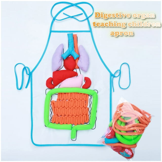 Tablier Scientifique pour Enfants et Jouets d'Éducation Organique Trois - Éducation Éducative