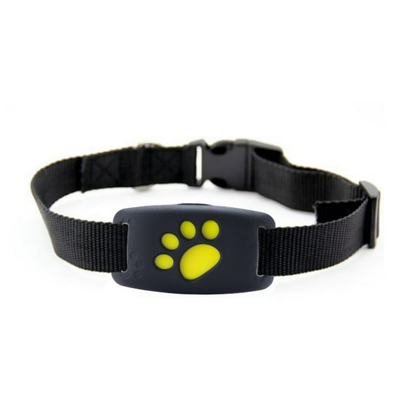 Gps Cat Collar