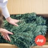 Artificial Christmas Tree Disassembly
