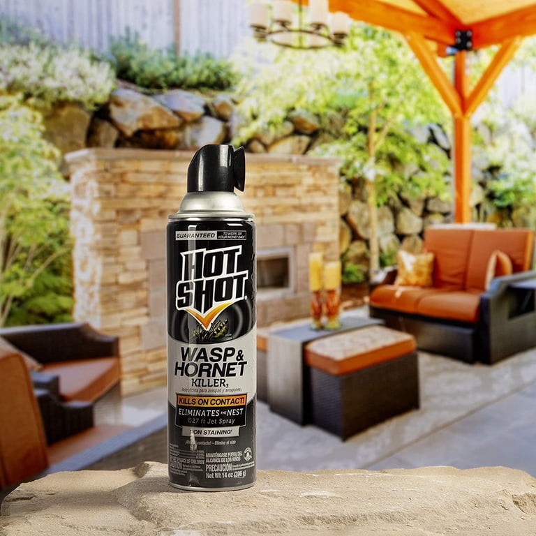 Hot Shot, Wasp & Hornet Killer Aerosol, 14 oz, Kills on Contact