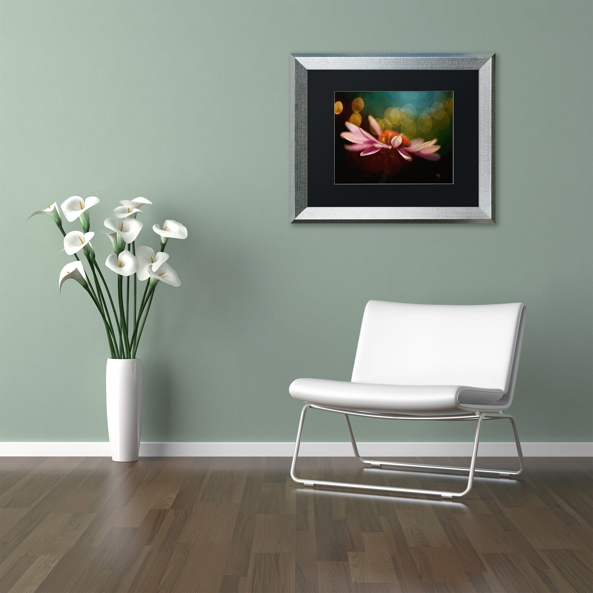 Trademark Fine Art "The Secret World of Coneflowers" Canvas Art by Lois Bryan Black Matte, Silver Frame