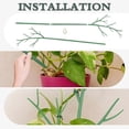 thumbnail image 3 of Monstera Plant Support,Plant Garden Support Stakes,Tall Plastic Plant Sticks for Tomato Tree,Branches Support 5PC, 3 of 5