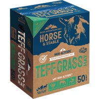 Blue Mountain Hay Teff Grass Hay - Pack of 10