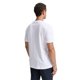 thumbnail image 5 of TOM TAILOR Camiseta para hombre, pack de 4 - Crew Neck Tee, cuello redondo, regular fit, algodón Blanco 2XL (XX-Large), 5 of 6