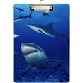 thumbnail image 2 of Coolnut Shark Clipboard, Acrylic Standard A4 Letter Size Clip Board with Low Profile Clip for Office, Classroom, Doctor, Nurse and Teacher, 12.5"x9", 2 of 7