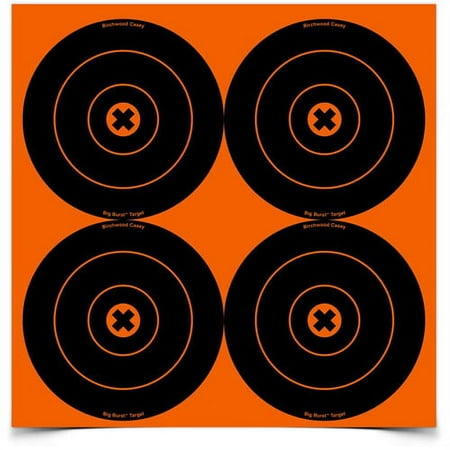 Birchwood Casey Big Burst Targets