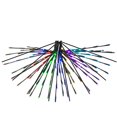 thumbnail image 1 of 160Lt x 24" RGB-WW Black Starburst Remot, 1 of 1