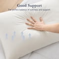 thumbnail image 4 of Juego de 2 plumas de ganso Pillow Puredown Queen de algodón orgánico, 4 of 7