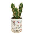 thumbnail image 1 of Planta de simulación de bonsái de plástico, planta de flor artificial de bonsái de cactus tropical, 1 of 5