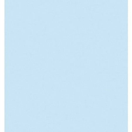 RTC Fabrics 42"/43" 100% Cotton Flannel Solid Light Blue Color Crafting Fabric by the Bolt