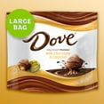 thumbnail image 2 of Dove Promises Milk Chocolate Caramel Candy - 14.2 oz Bag, 2 of 11