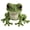 Frog, variant on 3D Bead Craft Set for Adults, Cute Animal Bead Craft Set, Animal Beading Kit with Colorful Beads and Instructions, String Beads Animals DIY Kit Materials Pack for Beginners & Crafts - Animal M