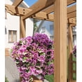 thumbnail image 5 of Vita Springwood Cedar Wood Arbor, Golden Brown, VA68900, 5 of 11