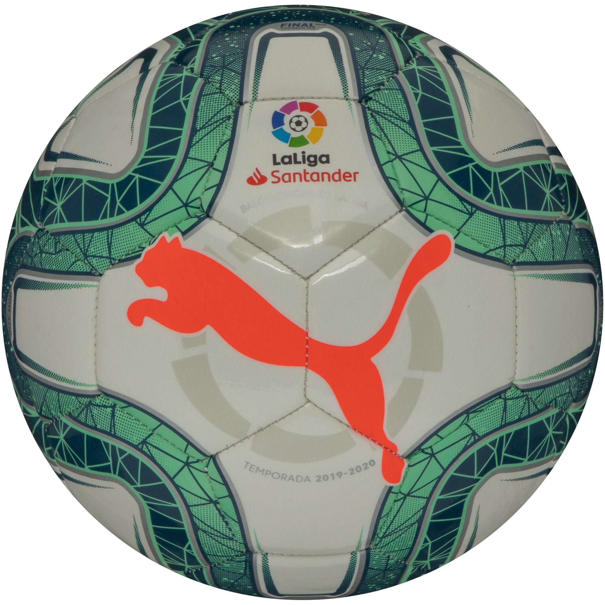 puma official soccer ball