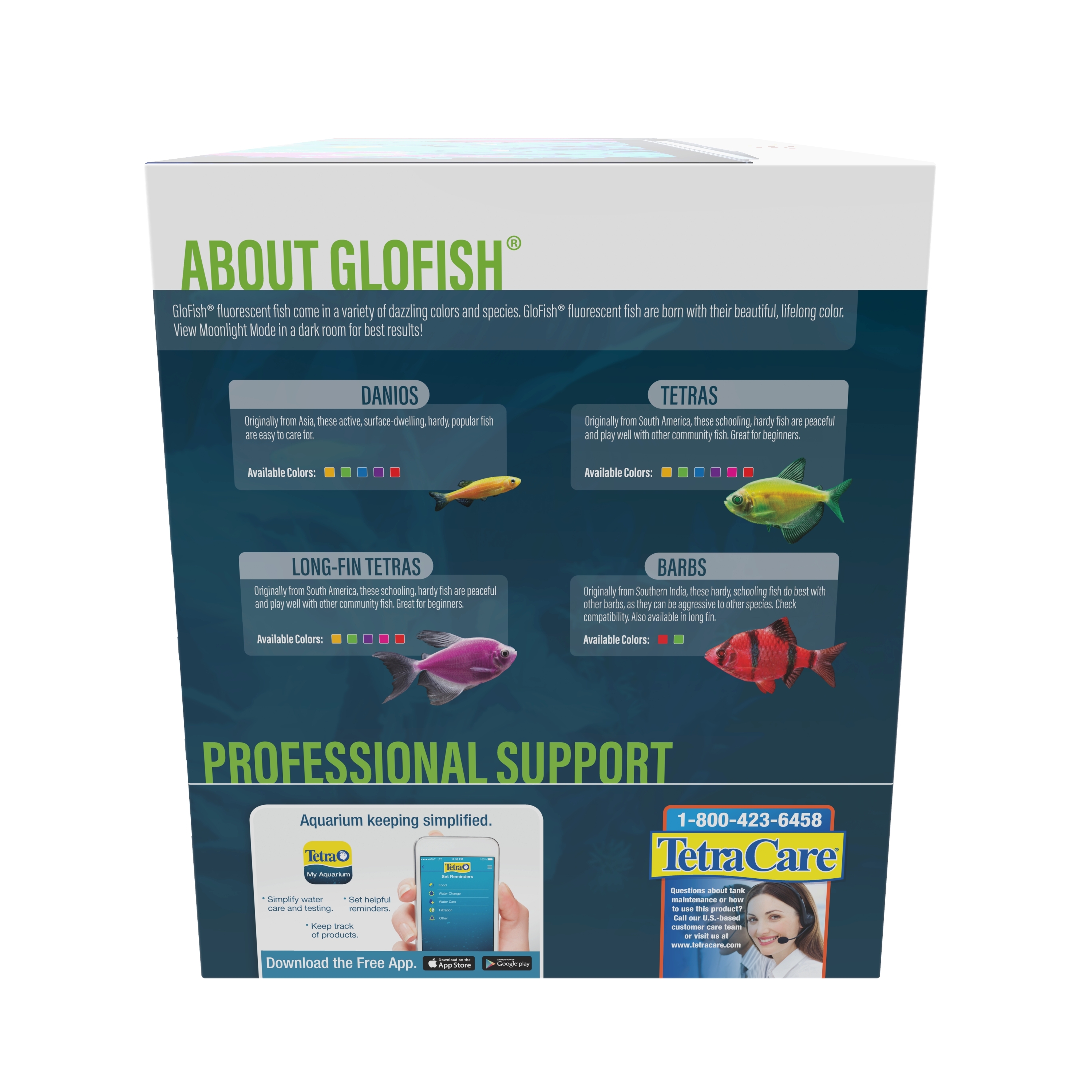 GloFish 5-Gallon Glass Aquarium Kit with LED and Tetra Whisper Filter - image 4 of 7