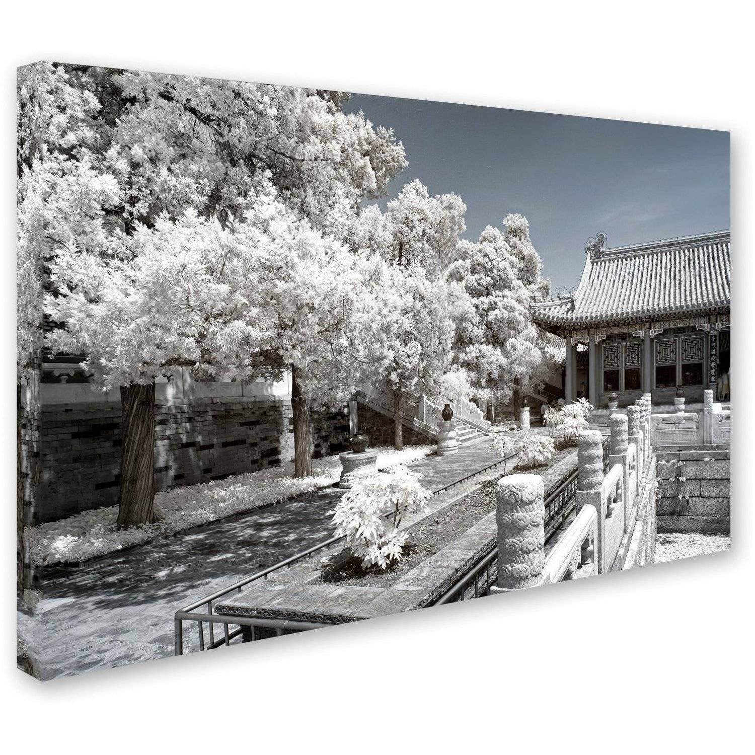 Trademark Fine Art "Reflection" Canvas Art by Philippe Hugonnard