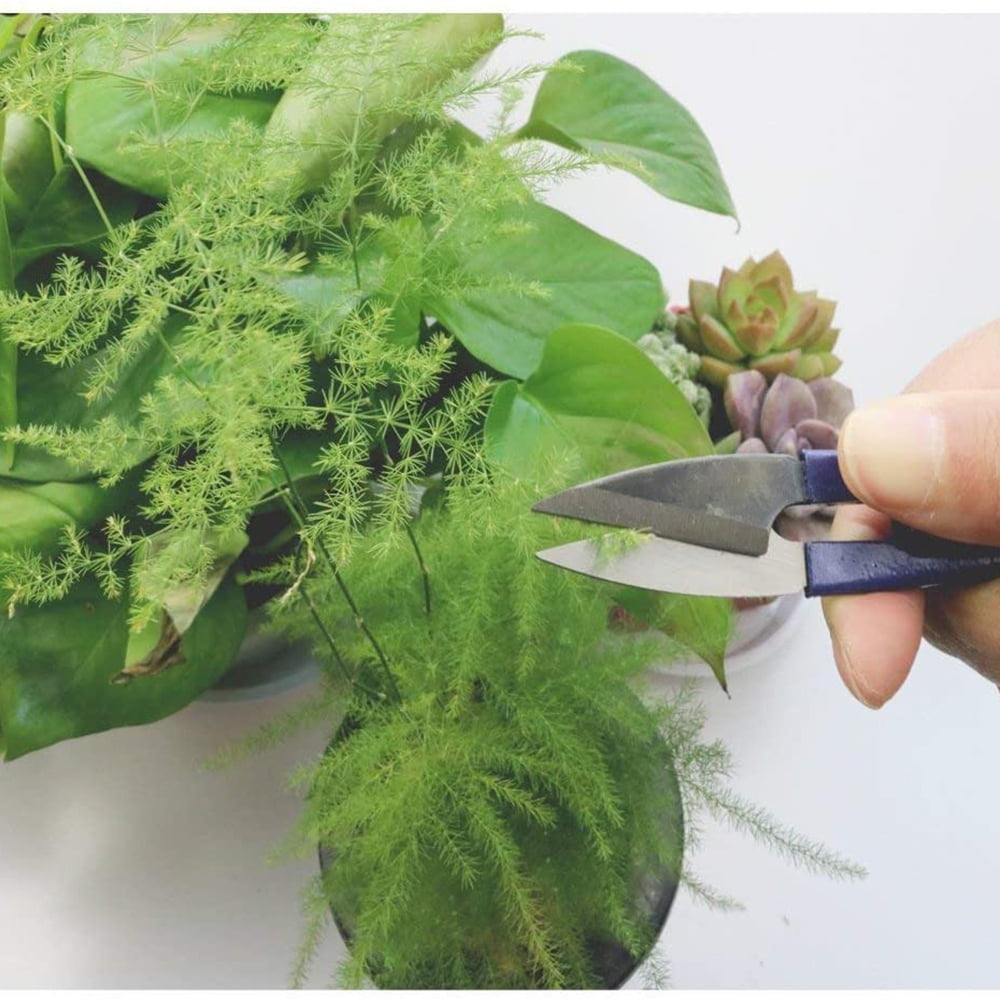 NeveLance 9 Pcs Bonsai Tools with Soil Moisture Meter, 3-in-1 Moisture Sensor/Sunlight/Ph, Include Pruner, Folding Scissors, Mini Rake, Bud & Leaf Trimmer Set