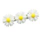 thumbnail image 4 of Diadema, Cautivante Precisa Embellecer Eminente Extraordinario Milagroso Para Interior ANGGREK Elastic Hairband, 4 of 4