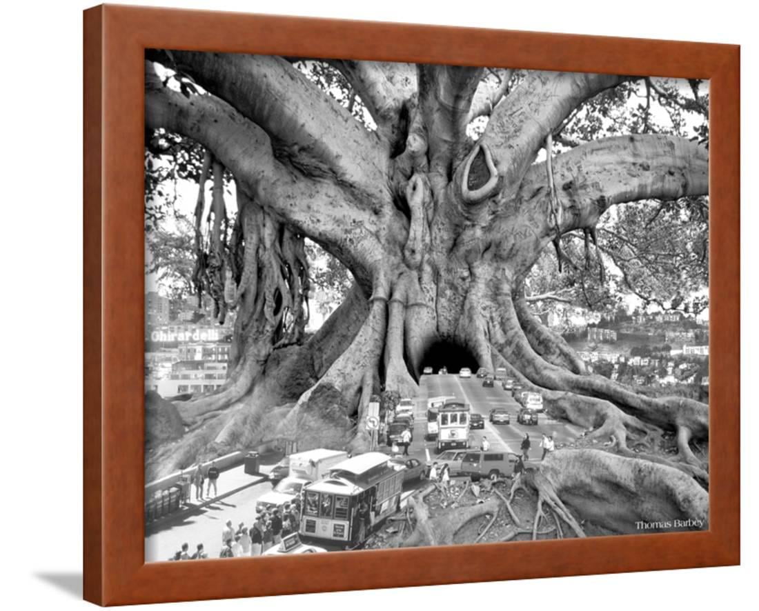 Tourist Trap Framed Print Wall Art By Thomas Barbey Walmart Com Walmart Com