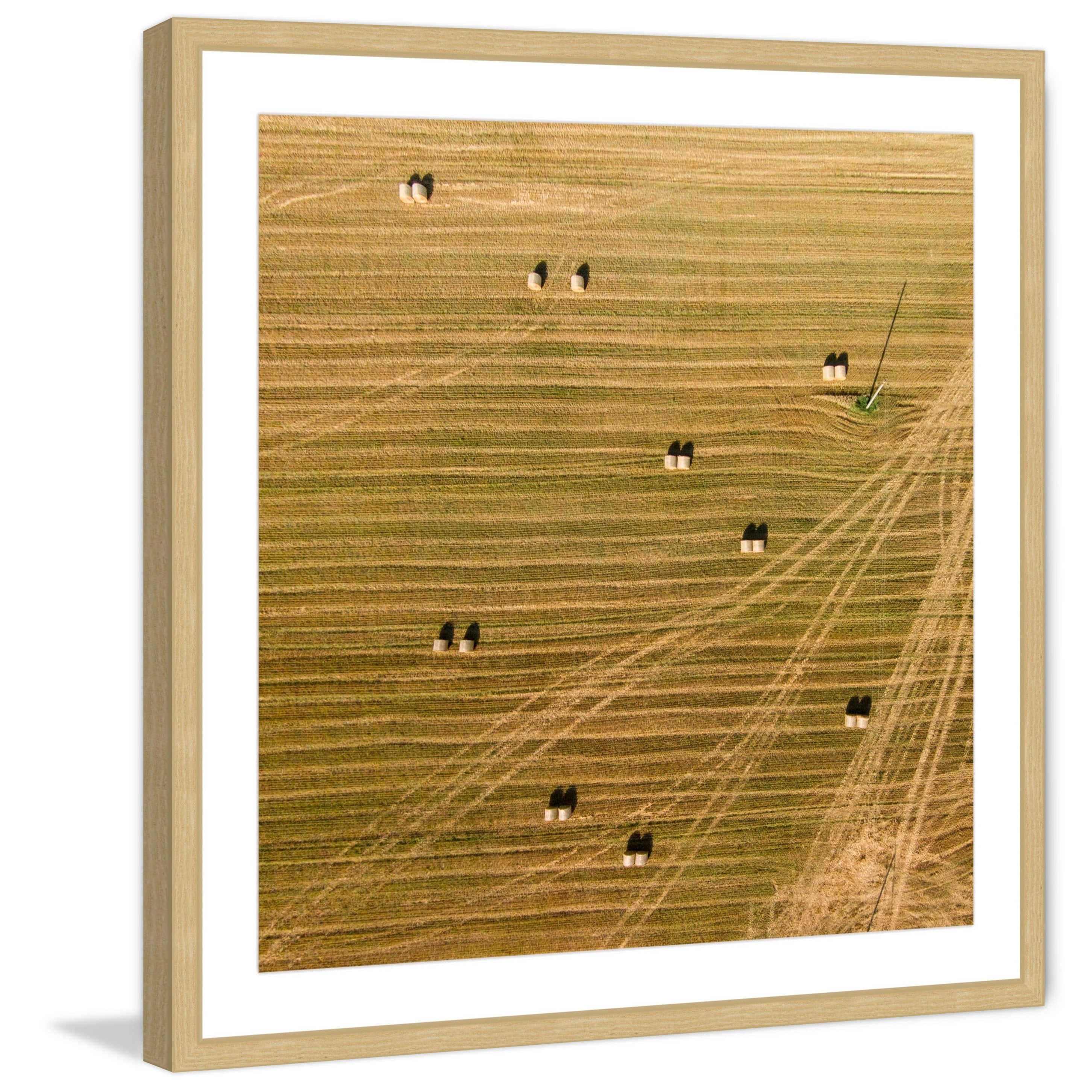 Marmont Hill "Tractor Trails" by Karolis Janulis Framed Painting Print