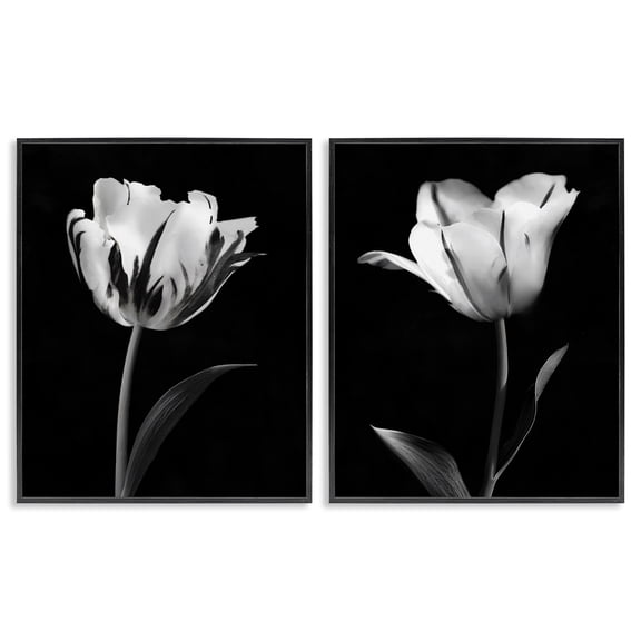 Stupell Industries Mid-Century Contrasting Modern Flowers Black 2pc Framed Giclee Art Set, 11 x 14 each, by CAD Designs