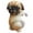 Khaki, variant on Cute Dog Figurines, Hanging Flower Pot Hugger Resin Puppy Planter Ornaments for Home, Garden, Patio & Yard Decorations (Funny Pug Design)