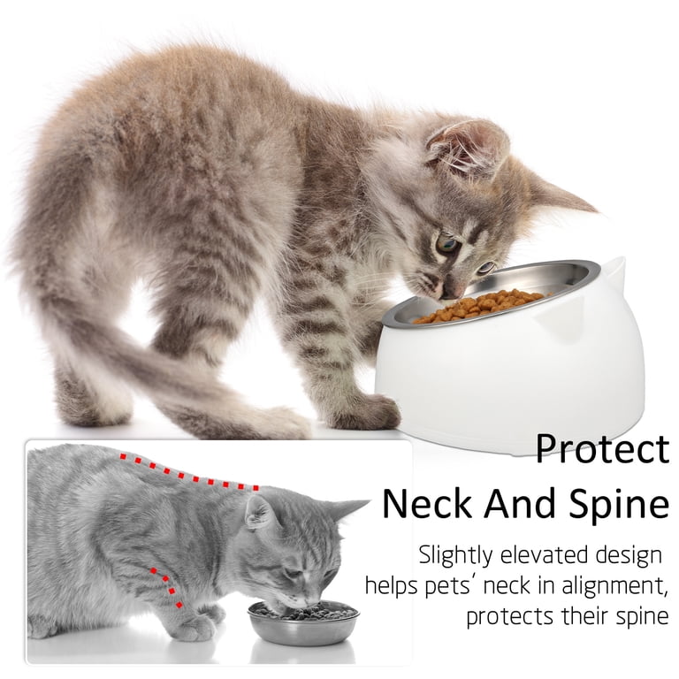 best dog bowl to keep water cold K&H Thermal-Bowl