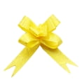 thumbnail image 1 of sweethay 200 piezas de embalaje de regalo de Navidad, cintas de lazo para tirar, suministros de decoración para fiestas Artesanía Rosa amarilla sweethay HA059833-19B, 1 of 6
