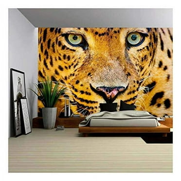 wall26 - Close Up Portrait of Leopard with Intense Eyes - Removable Wall Mural | Self-Adhesive Large Wallpaper - 100x144 inches