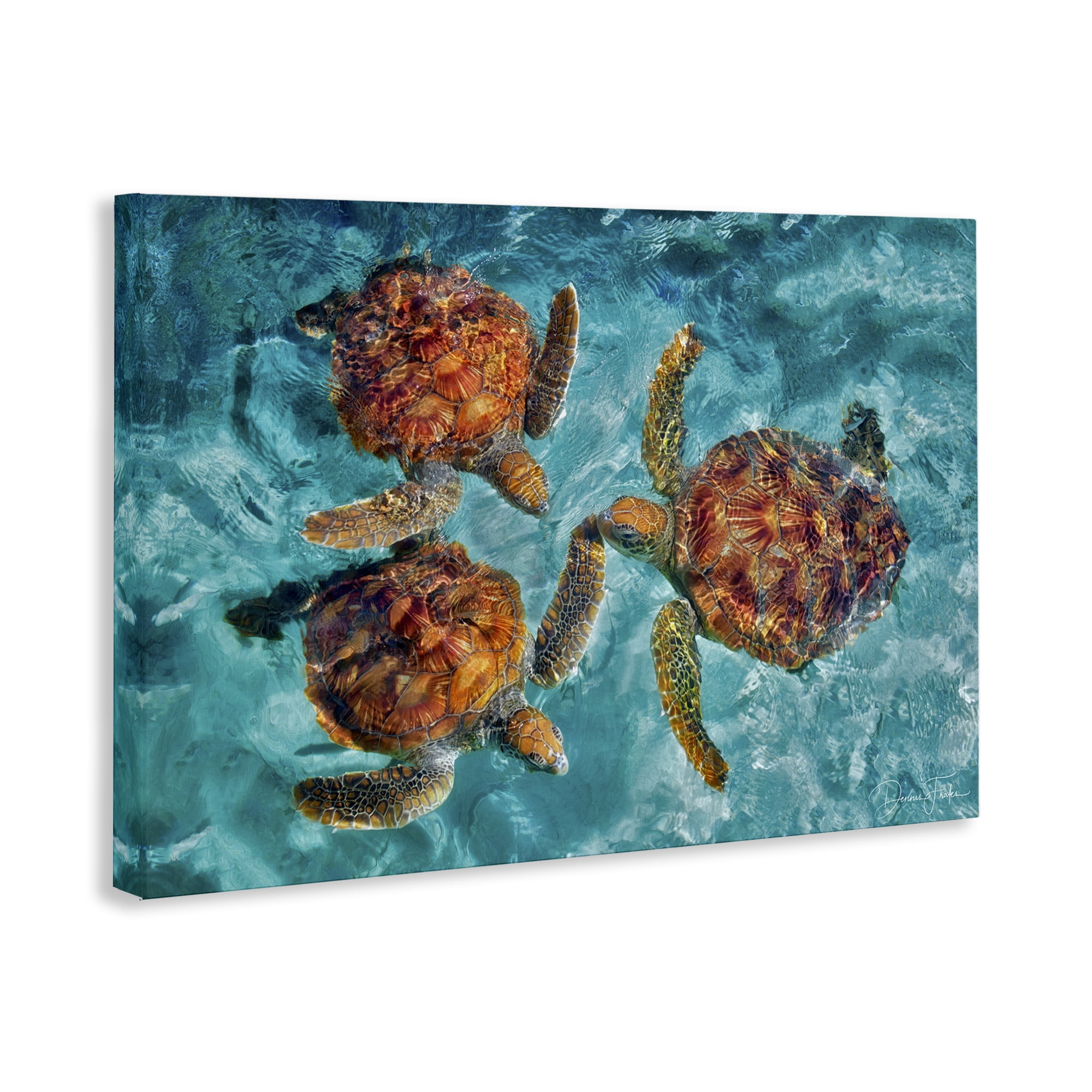 Stupell Industries Swimming Tortoise Trio Animals & Insects Painting Gallery Wrapped Canvas Art Print Wall Art, 24 x 16