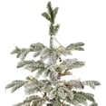 thumbnail image 4 of Northlight Real Touch™️ Pre-Lit Flocked Whistler Noble Fir Artificial Christmas Tree - 4.5' - Clear, 4 of 9