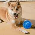 thumbnail image 4 of Pet Toy TPR Sound Toy Ball Dog Bite Resistant Elastic Prick Medium Dog Toy Large Ball, 4 of 7