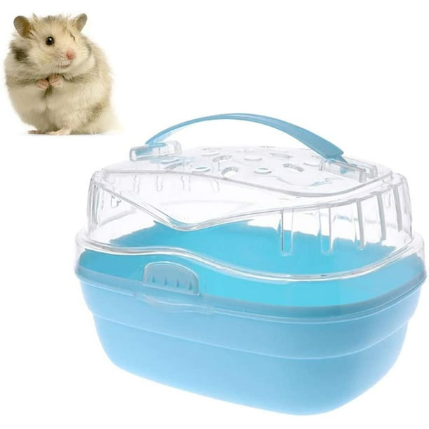 Box hamster 2025