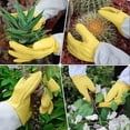 thumbnail image 2 of Guantes largos de jardinería para mujer a prueba de espinas, guante de jardín de cuero de vaca para poda de rosas para cactus, rosas y moras-L, 2 of 5
