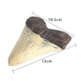 thumbnail image 3 of Megalodon Tooth Fossil Giant Tooth Megalodon Tooth Resin Replica, 3 of 5