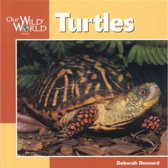 Our Wild World: Turtles (Paperback)