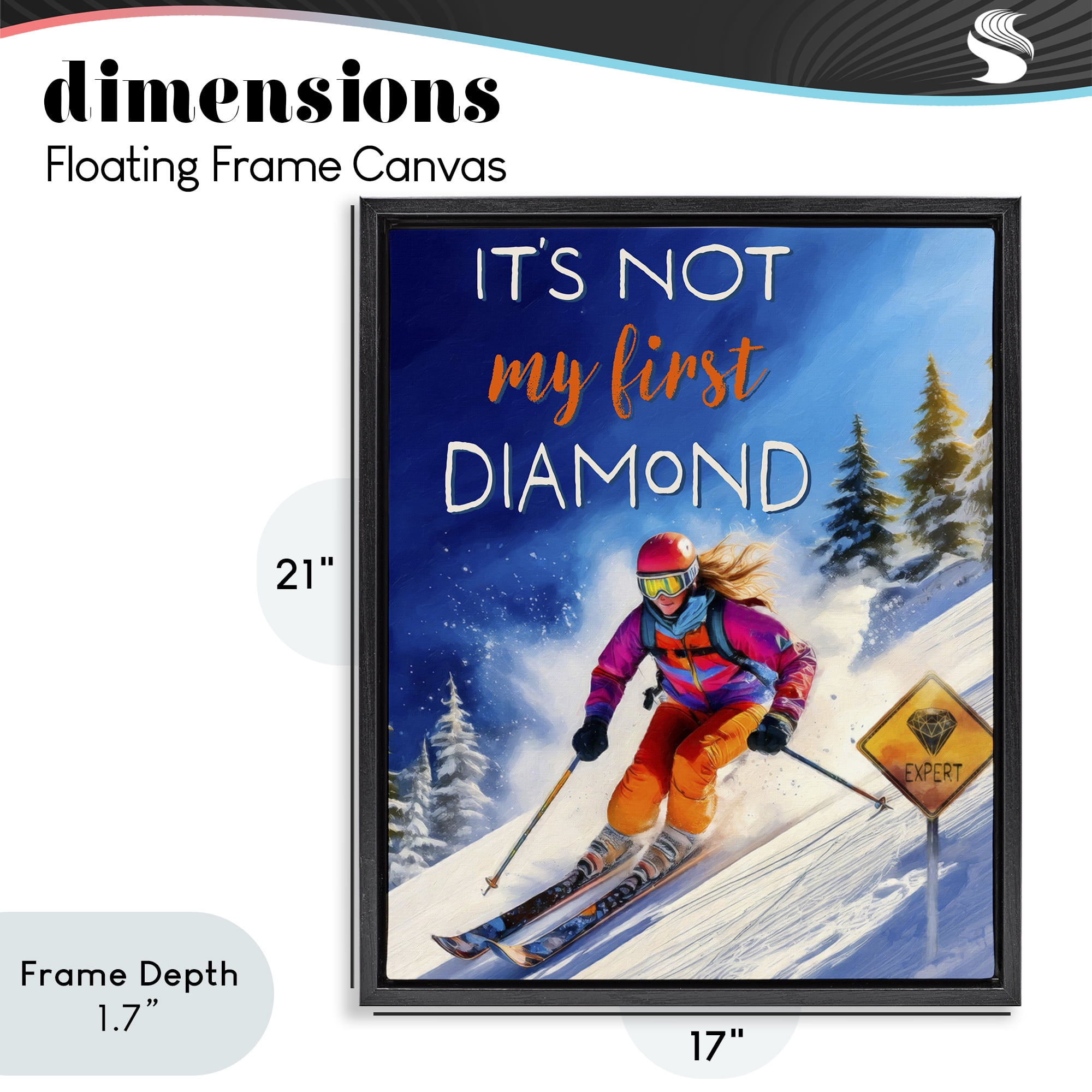 Stupell Industries Not My First Diamond Black Framed Floater Canvas Wall Art, design by Grotto Studios