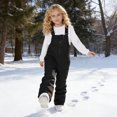 thumbnail image 4 of Joernso Kids Insulated Snow Bib Overalls Waterproof Winter Warm Snowboard Ski Pants Windproof Snowsuit for Boys Girls, 4 of 8